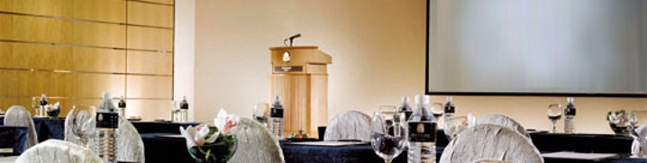 mice hotel costa del sol
